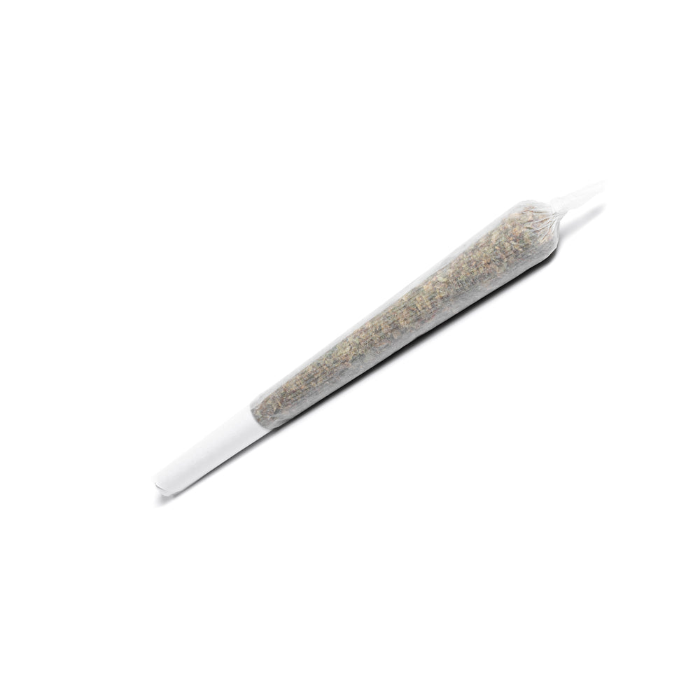 BC SENSI STAR PRE-ROLL