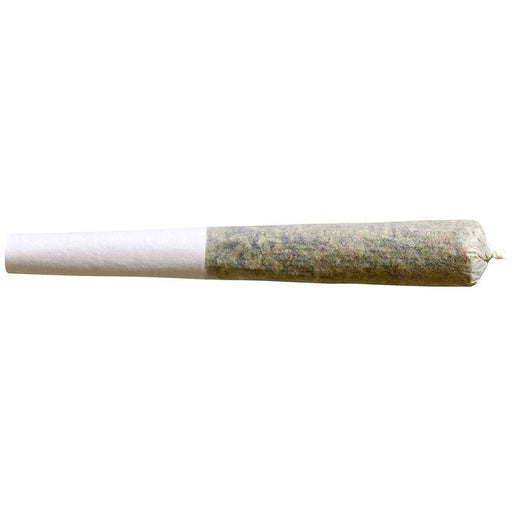 PROHIBITION PRE-ROLL